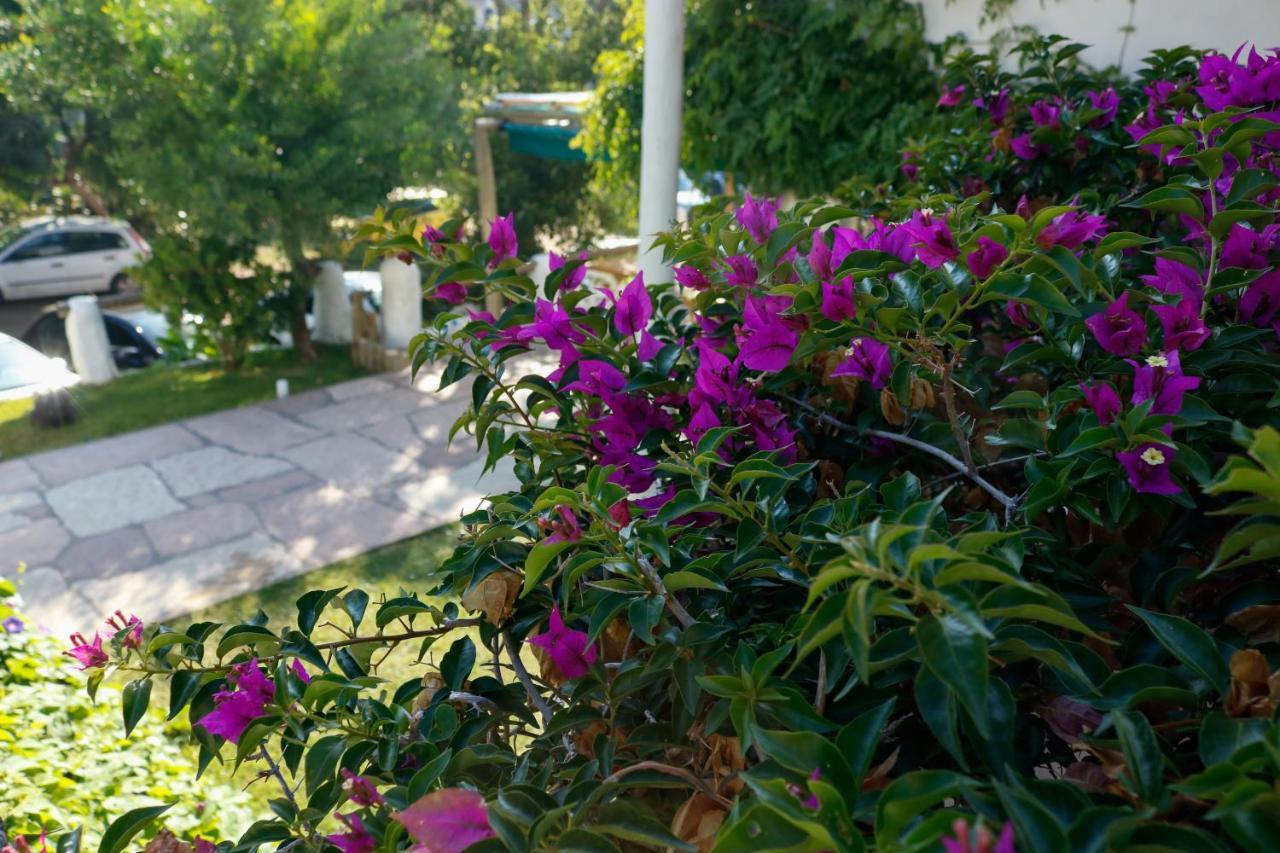 Africa Posada Inn Pinamar